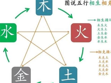 金生木 木生水|五行相生相克之间的意义